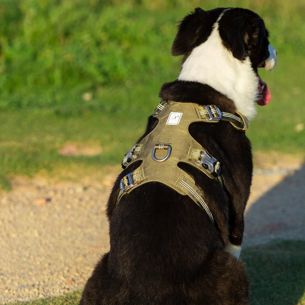 Escape-Proof Dog Harness with Handle – 5-Point Adjustable No-Pull Support Vest